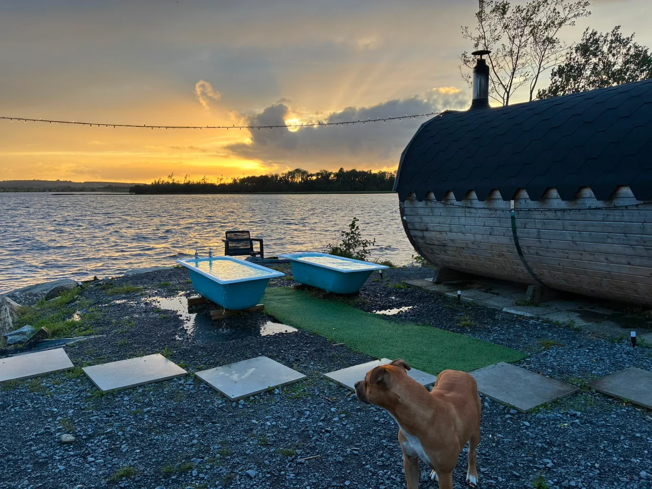 A dog watches over the lakeside sauna and plunge baths at sunset